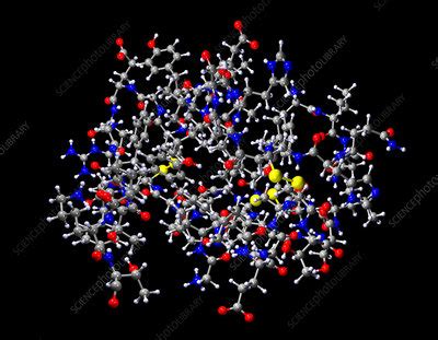 Insulin molecule - Stock Image - A619/0099 - Science Photo Library