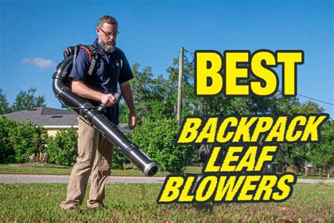 Best Backpack Leaf Blower Reviews 2024 - Pro Tool Reviews