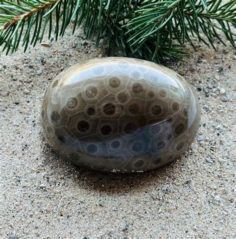 Premium Petoskey Stone H Decorative Stone - Etsy