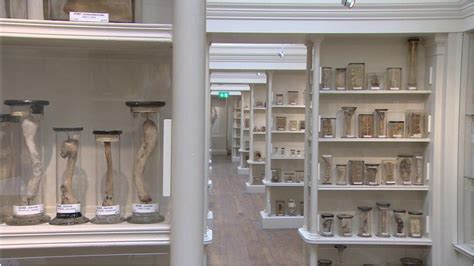 Edinburgh's Surgeons' Hall Museums reopens after £4m revamp - BBC News