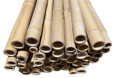 6 Feet Long Natural Thick Bamboo Poles (1.5in - 2in Wide) Pack of 2 ...