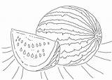 Cantaloupe Coloring Pages sketch template