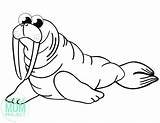 Free Printable Walrus Template – Simple Mom Project sketch template