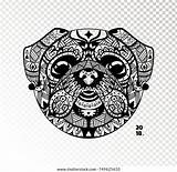 Coloring Antistress Style Zentangle Muzzle Pug เวกเตอร์สต็อก ปลอดค่า  sketch template