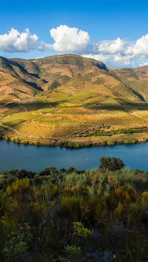 Douro River, Alto Douro International Natural Park, Ligares, Portugal | Windows Spotlight Images