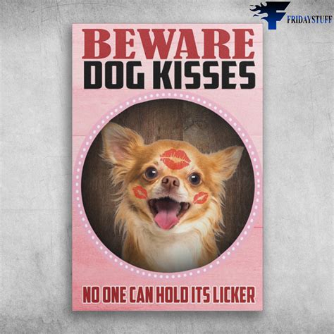 Chihuahua Dog - Beware Dog Kisses, No One Can Hold Its Licker - FridayStuff