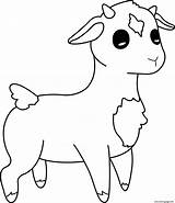 Lamb Coloring page Printable sketch template