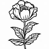 Pretty Poppy Flower coloring Page  Download Print Or Color Online For sketch template