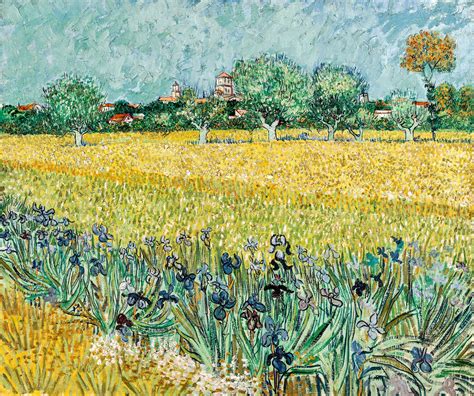 View of Arles with irises | Artist van gogh, Vincent van gogh paintings, Van gogh art