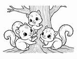Free Squirrel Coloring Pages For Kids sketch template