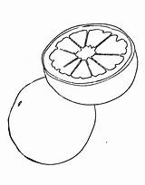 Free Printable Grapefruit Coloring Page sketch template