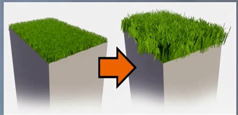 Grass in Revit + Enscape - ec-asset