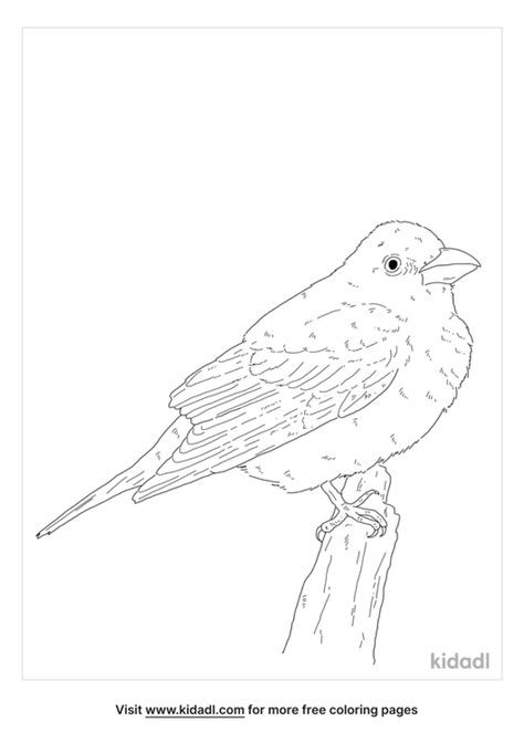 Summer Tanager Coloring Page | Free Birds Coloring Page | Kidadl