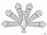 Peacock coloring Page  Free Printable Coloring Pages sketch template