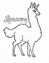 Amazing Llamacorn sketch template