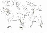 Online coloring Pages Coloring Page Draw A Horse How To step By  sketch template