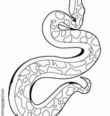 Snake Coloring Pages Realistic At GetDrawings  Free download sketch template