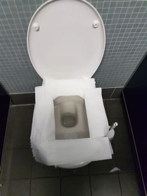 The safest way to take a dump in a public restroom. : r/funny