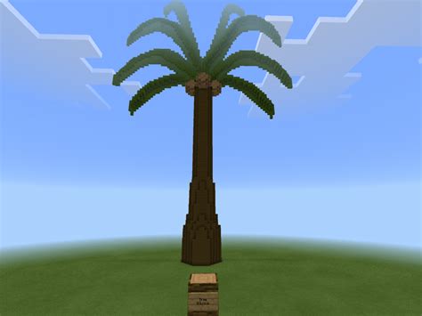 Palm Tree Minecraft Map