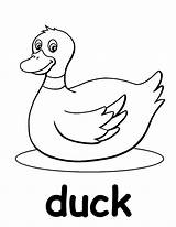 Cute Duck Coloring Pages Sketch Page sketch template