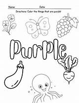 Purple coloring Sheet By ChaosHomeschooling  TPT sketch template