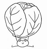 Chou Dessin à Colorier coloriage Printable PDF Jeu Imprimer  sketch template