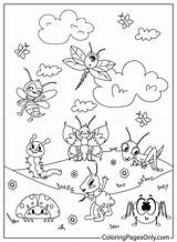 50  Bugs Coloring Pages Free Printable PDF & Online Coloring sketch template