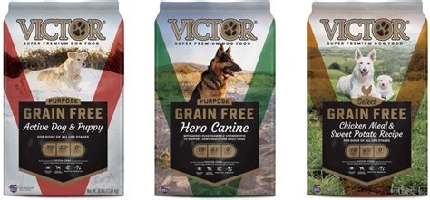 Grain free dog food brands, always the best treats for your pet