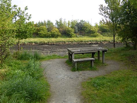 Picnic table by the River Don © Oliver Dixon cc-by-sa/2.0 :: Geograph Britain and Ireland