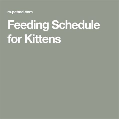 Feeding Schedule for Kittens | Kittens, Feeding, Schedule