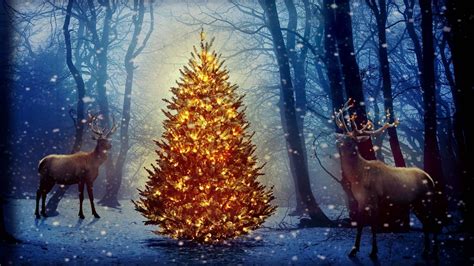 Download 3840x2160 Wallpaper Christmas and Holiday Season, Forest, Wildlife, Biome, Holiday ...