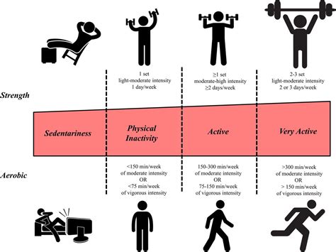 Hierarchical framework to improve individualised exercise prescription ...