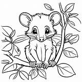 Opossum On Tree Branch coloring page Lulu Pages sketch template
