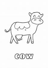 Cow Coloring Krowa Sapi Kuh Mewarnai Gambar Vacas Vaca Kolorowanki  sketch template