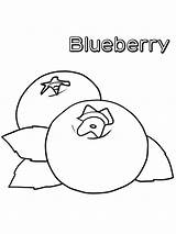 Blueberries Coloring Pages Printable Sketch Page sketch template