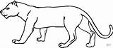 Panther coloring page  Free Printable Coloring Pages sketch template