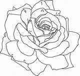 Free Printable Flower Coloring Pages For Kids  Best Coloring sketch template