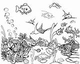 Aquarium Coloring Pages At GetDrawings  Free Download sketch template