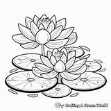 Pond Coloring Pages  Free & Printable sketch template