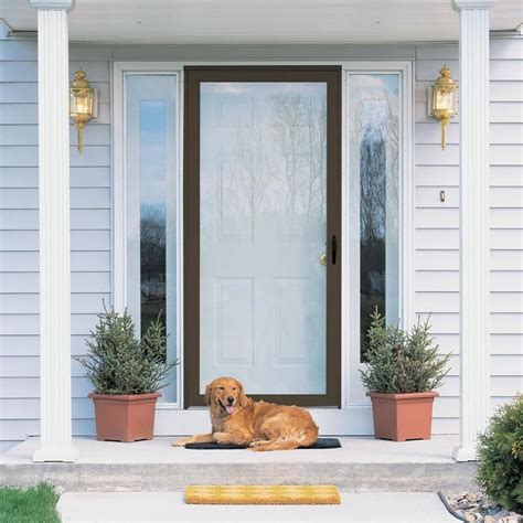 Door With Pet Door Lowes | Pets Animals US