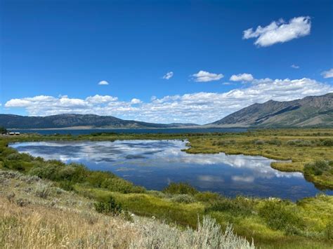 Henrys Lake State Park: fishing and camping near Yellowstone