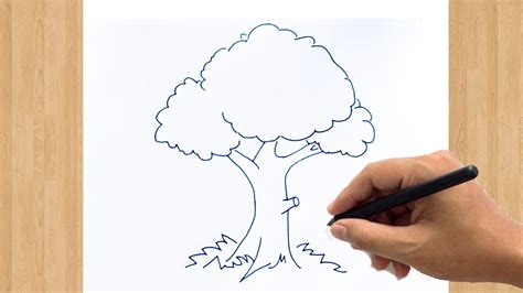 How to Draw a Tree Sketch Easy | The Best Tree Drawing Ever Drawn For Beginners - YouTube