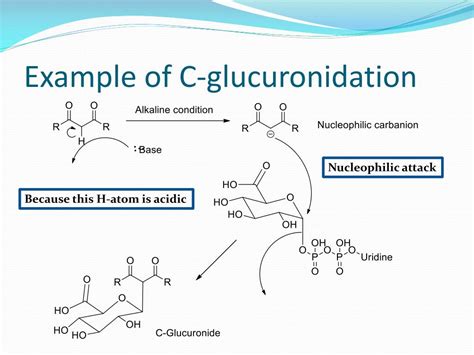 PPT - Phase-II Drug Metabolism PowerPoint Presentation, free download ...