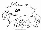 Eagle Head Coloring Page For Kids  Free Hawks And Eagles Printable sketch template