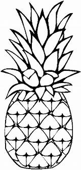 Pineapple Coloring Page sketch template