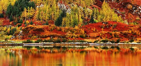 Autumn Wildlife Holidays In The Scottish Highlands | Eagle Brae