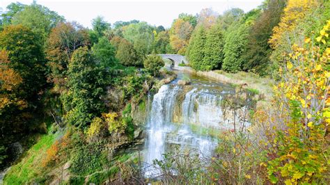 Webster's Falls in Hamilton, Ontario : r/canada