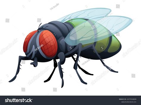 Cute Fly Cartoon Illustration Isolated On Stock Vector (Royalty Free ...