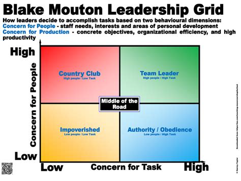 Business Studies Poster - Blake Mouton Leadership Grid A3 Poster ...