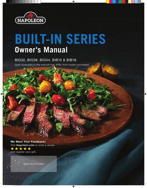 NAPOLEON BUILT-IN SERIES OWNER'S MANUAL Pdf Download | ManualsLib